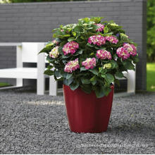 (BC-F1032) Fashionable Design Plastic Self-Watering Flower Pot